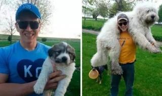 小时候vs长大后 小时候vs长大后